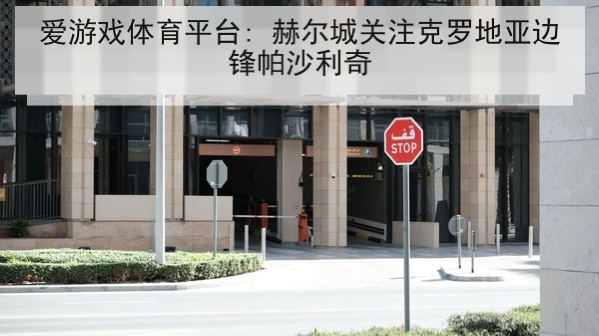 爱游戏体育平台: 赫尔城关注克罗地亚边锋帕沙利奇